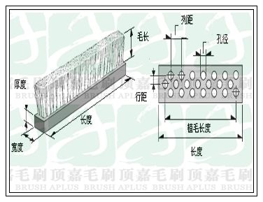 毛刷條示意圖